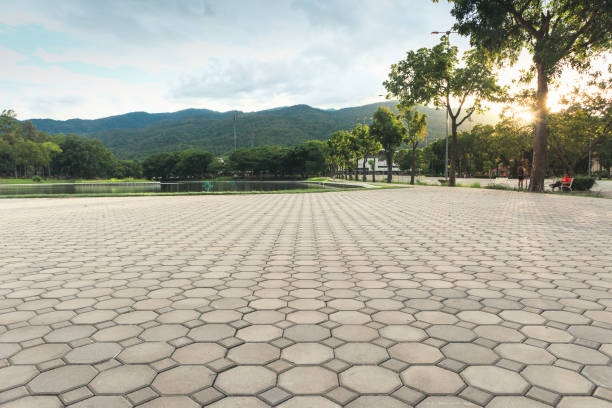 Best Local Driveway Pavers  in Prairie Grove, IL